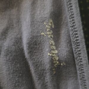 Gray T-Shirt with Gold Logo